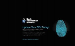 how to check bvn online with bvn code