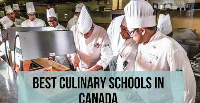Best Culinary Schools in Canada